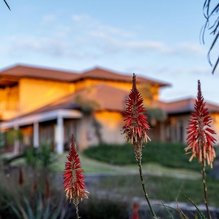 Blue Rain Guest House Bloemfontein Dış mekan fotoğraf