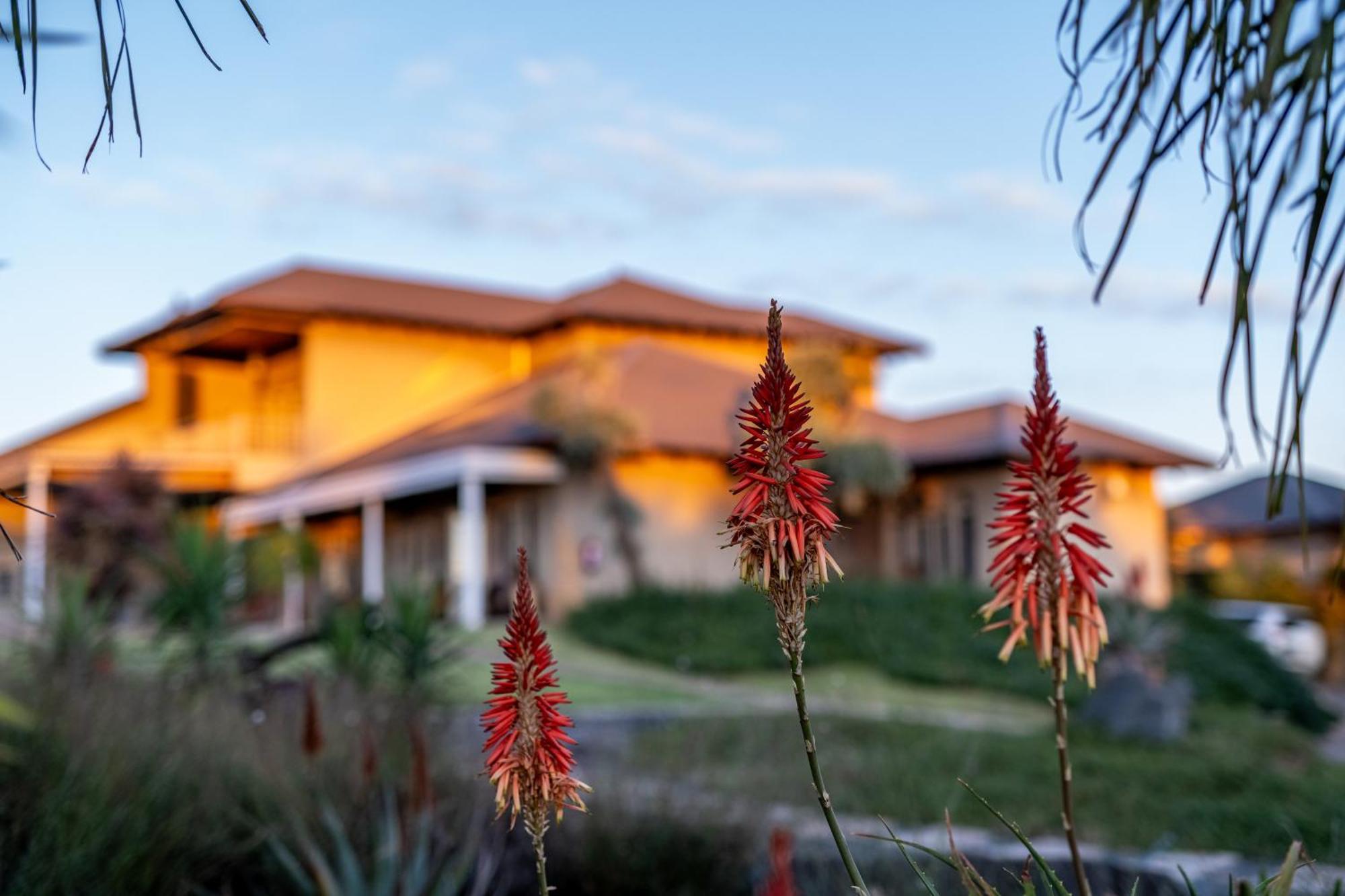 Blue Rain Guest House Bloemfontein Dış mekan fotoğraf