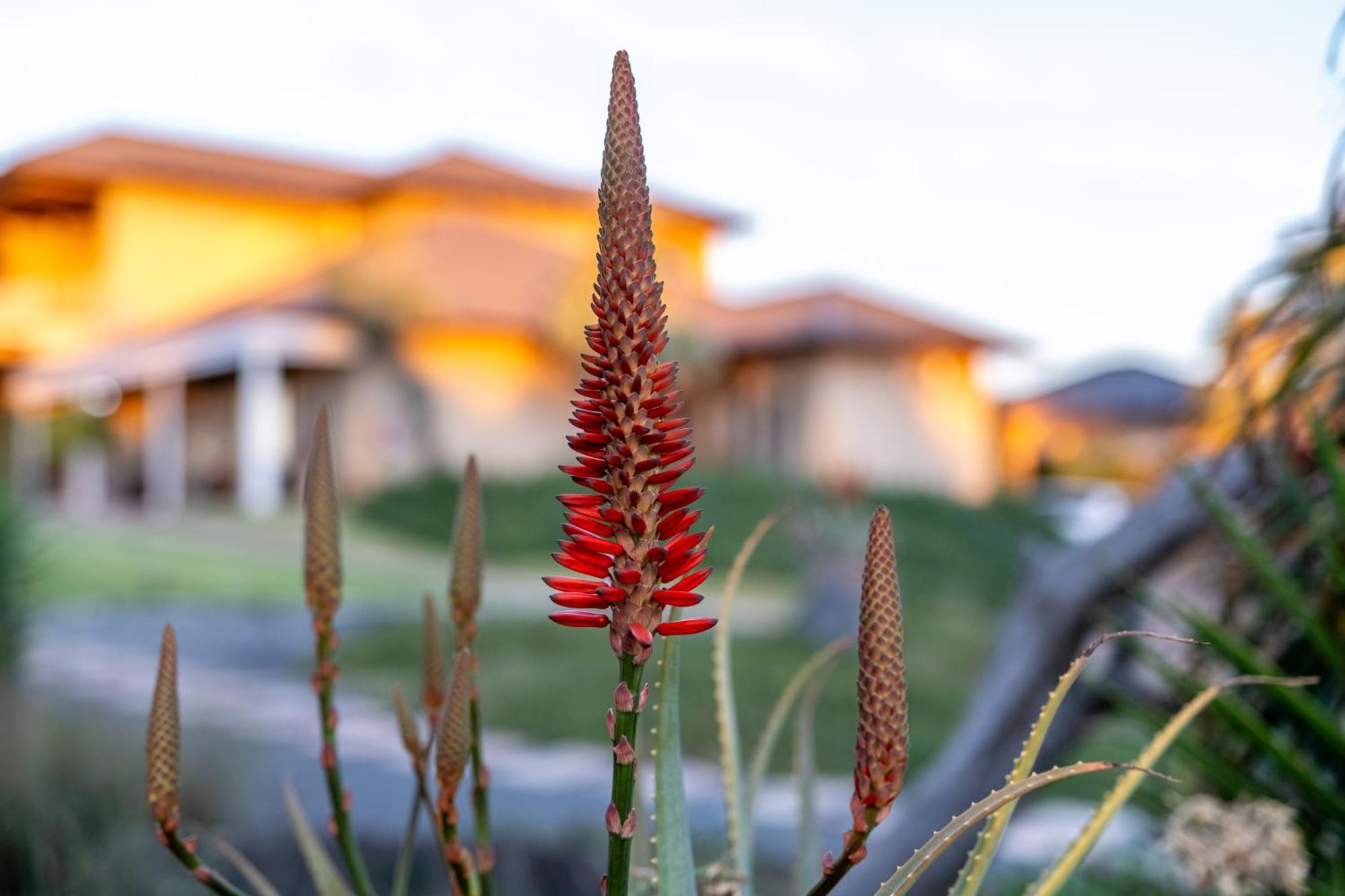 Blue Rain Guest House Bloemfontein Dış mekan fotoğraf